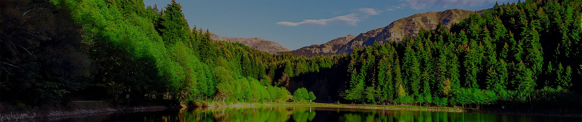 Sostenibilidad Banner